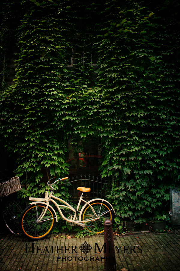 img_1569-25-edit