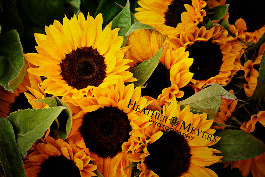 img_1598-43-edit