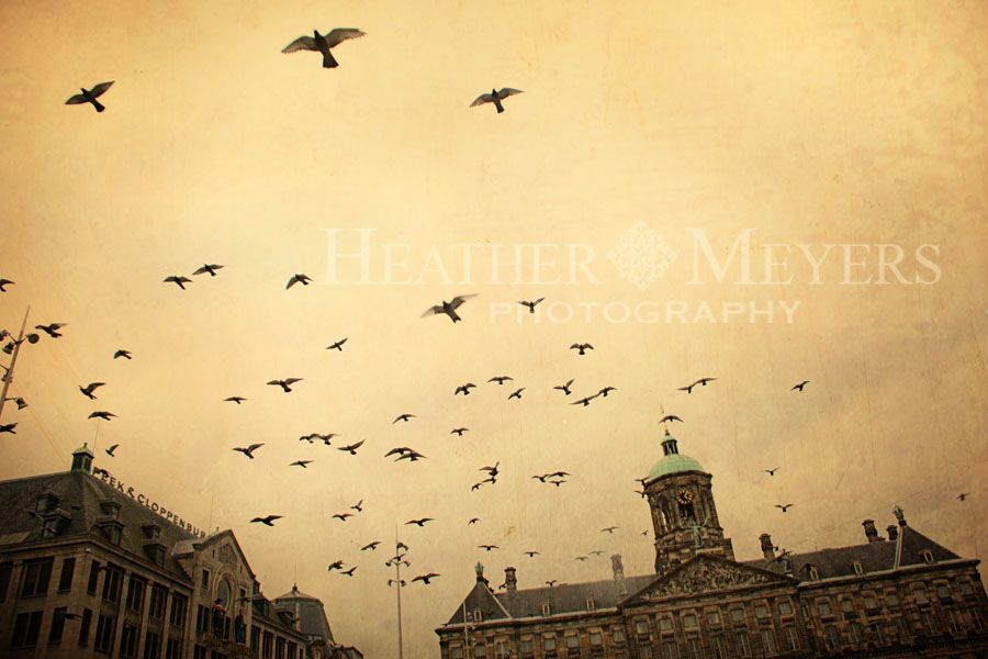 img_1609-52-edit