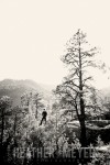 IMG_2106-Edit-Web