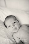 IMG_0186-Edit-Web