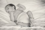 IMG_0198-Edit-Web