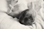 IMG_0209-Edit-Web
