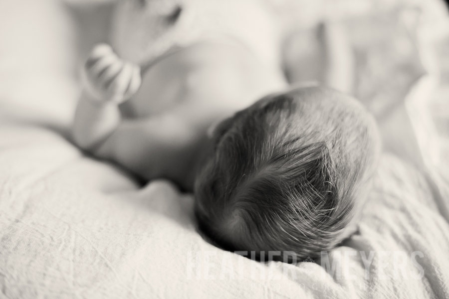 IMG_0209-Edit-Web