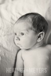 IMG_0215-Edit-Web