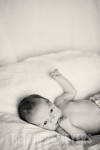 IMG_0241-Edit-Web