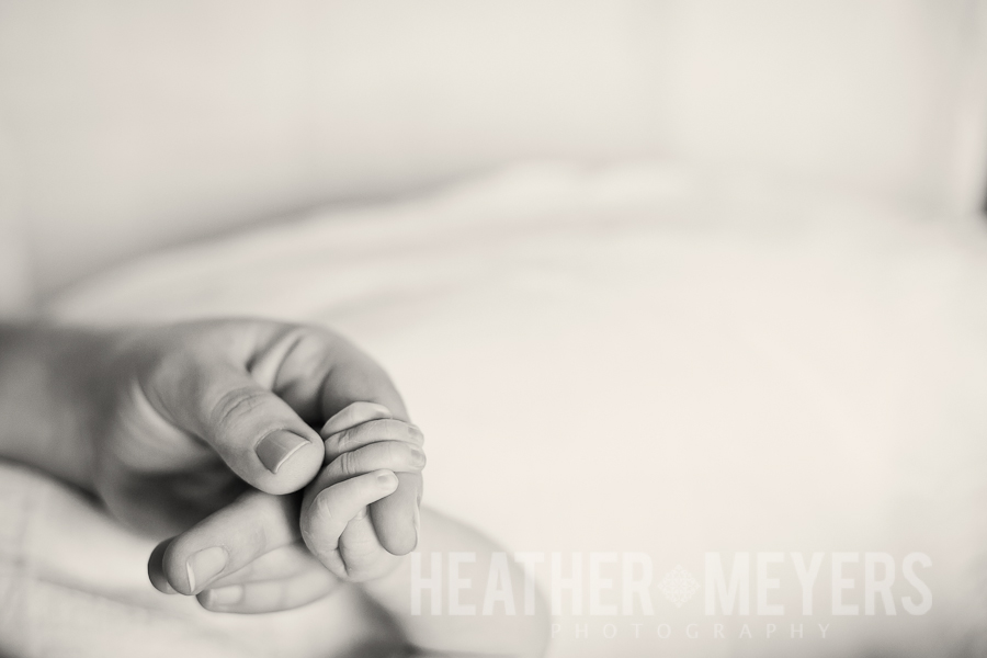 IMG_0257-Edit-Web