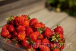 IMG_3876-Edit-Web